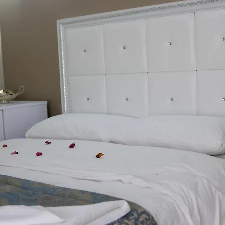 Hotel Nisan's